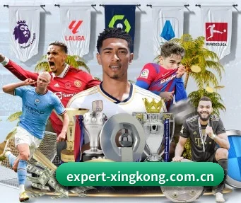 星空世界杯专题 APP - xingkong WorldCup