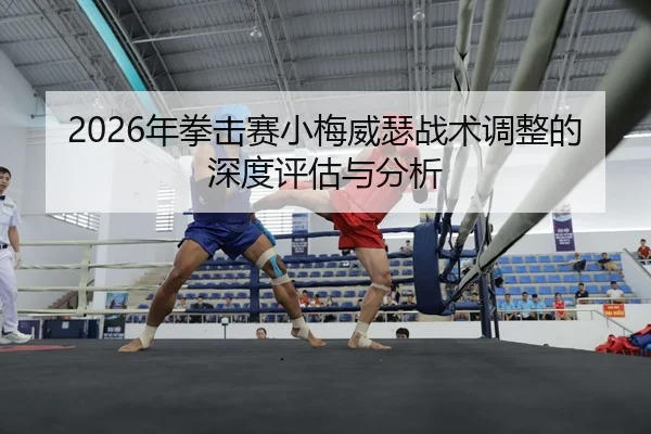 nian-quan-ji-sai-xiao-mei-wei-se-zhan-shu-tiao-zheng-de-shen-du-ping-gu-yu-fen-xi-2-779.jpg