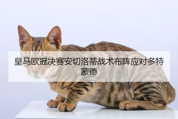皇马欧冠决赛安切洛蒂战术布阵应对多特蒙德