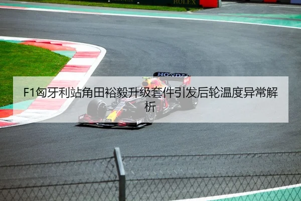 F1匈牙利站角田裕毅升级套件引发后轮温度异常解析