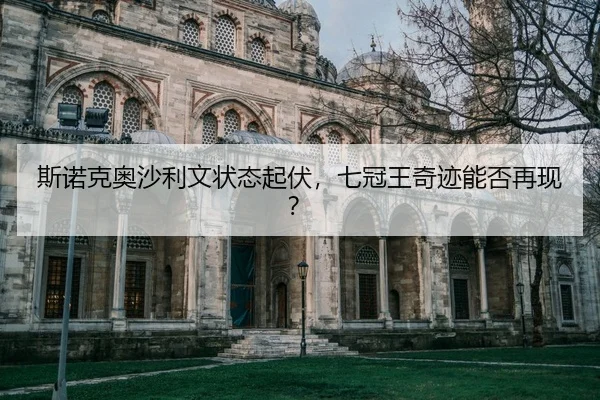 si-nuo-ke-ao-sha-li-wen-zhuang-tai-qi-fu-qi-guan-wang-qi-ji-neng-fou-zai-xian-2-151.jpg