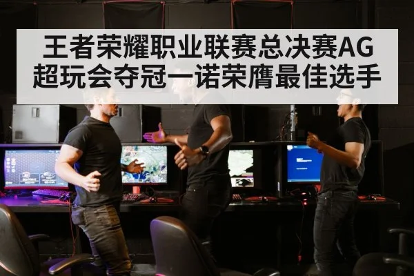 王者荣耀职业联赛总决赛AG超玩会夺冠一诺荣膺最佳选手